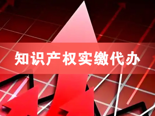 东兴知识产权实缴资本代办